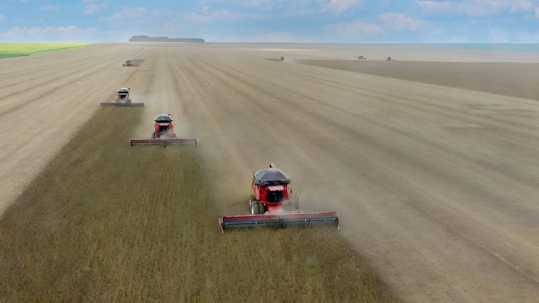 Fazenda-marinho-cortina_editada-pichi